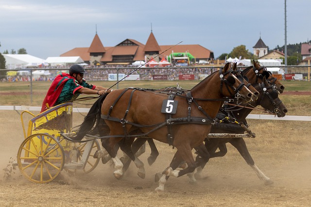 在这场比赛 在这场比赛
